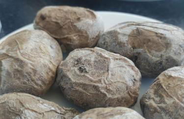 Ocean front La Maresia Holiday 2 Apartments - Foto 16