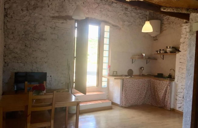 Mas de Leon - Photo 14