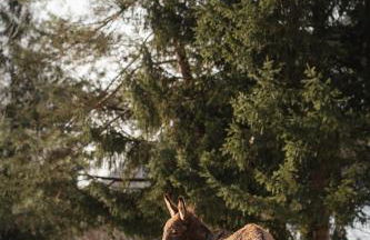 Agriturismo La Daga - Foto 53