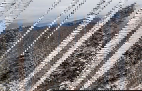 14 Snowside 2 Bedroom Condo by RedAwning - Photo 38