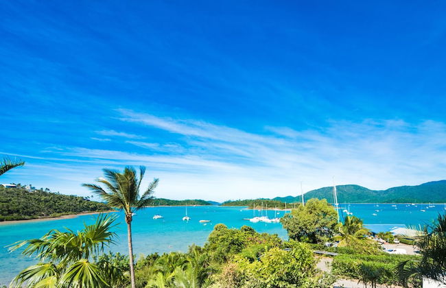 Baybliss Studio 1 - Foto 17