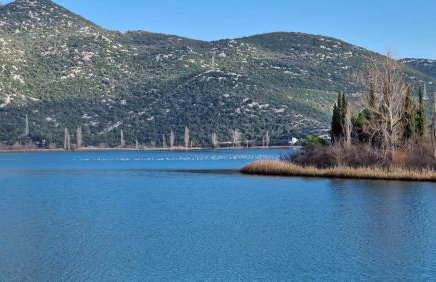 Six bedroom Holiday home Matea - Foto 6