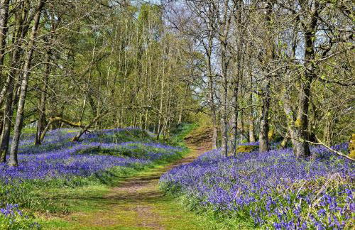 Carrs Cottage, Westgate in WEARDALE - Photo 31