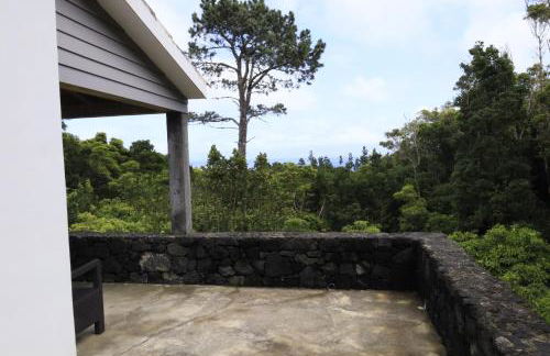 Casas do Caminho Novo - Photo 12