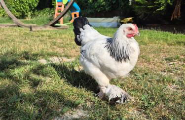 Modern and idyllic apartment - Foto 23