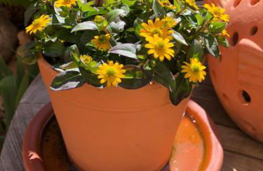 Gäste-Apartment Verweilzeit - Foto 27