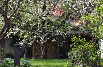 FeWo 110qm mit Balkon an Weser/Glacis/City - Foto 37