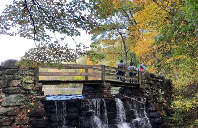 Soleil Manor White Plains - Photo 75