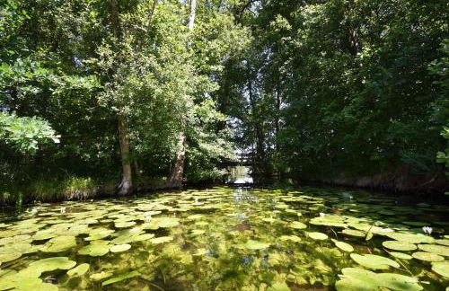Luxus-See-Domizil mit Sauna, Kamin und Boot-130 qm für 6 Personen - Foto 37