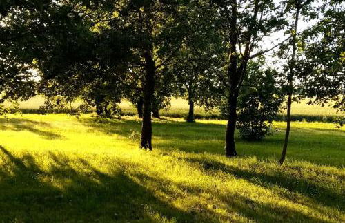 Calme et sérénité au gîte des hortensias - Foto 17
