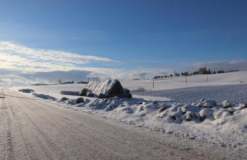 Biała Czapla - Foto 51