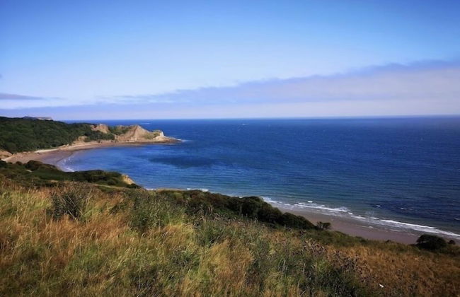 The Hideaways - Foto 7