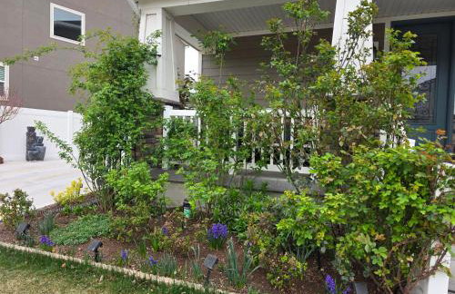 Cozy Apt Near BYU UVU Canyon - Photo 27