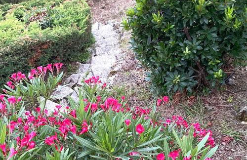 Grande villa avec jacuzzi à La Pointe aux Chevaux - FR-1-736-23 - Photo 10