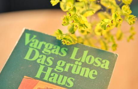 Das grüne Haus - Lörrach - Foto 20