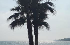 EL PARAISO GOLF Y PLAYA - Photo 42