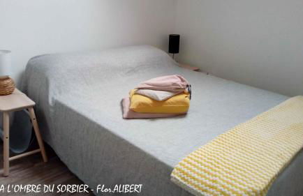 A l'OMBRE du SORBIER - Foto 15