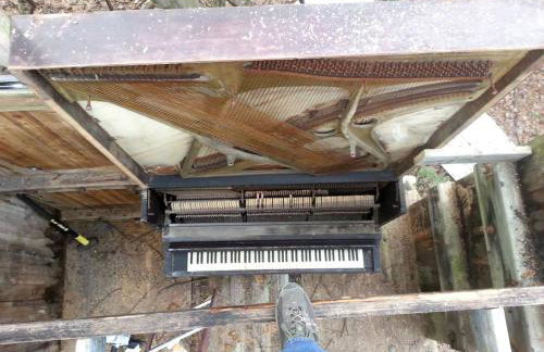 Eclectic Riverfront Log Cabin and Artist Retreat for Groups in Castle Hayne, North Carolina - Foto 26