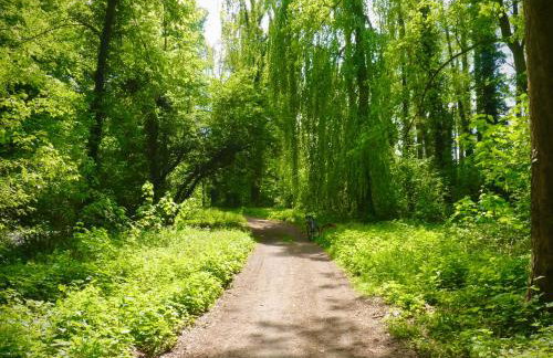 Ptasi Ogród - Foto 23