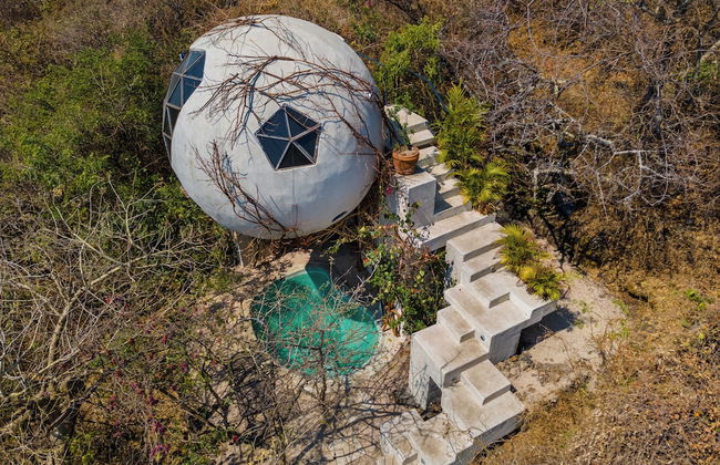 Bosque Geométrico - Foto 64