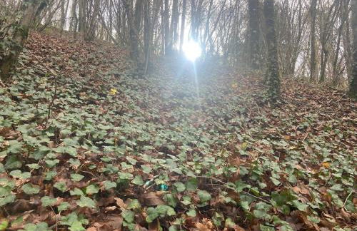 casa de campo - Foto 7