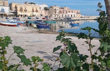 Casal Mastro appartamenti e camere con piscina - Foto 54