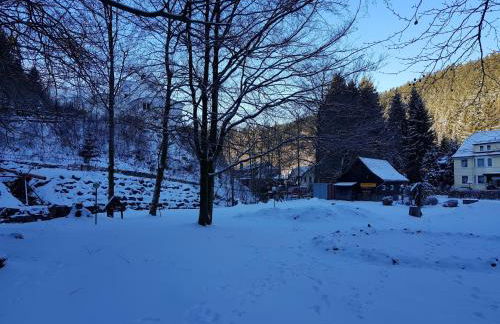 Alpine Escape in Wildemann - Foto 24