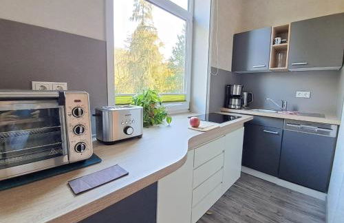 Studio Blick zum Schloss Wernigerode - Foto 8