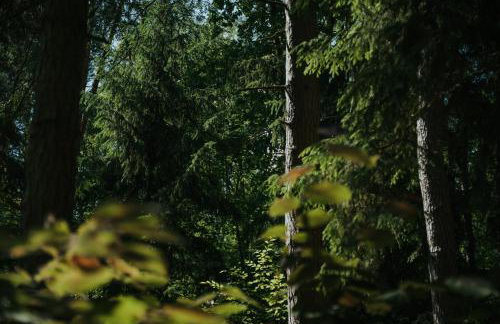 Forest Cabin - 50min od Warszawy - Foto 24