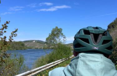 Happy Place Ferienwohnung mit Moselpanoramablick, Dachterrasse und Sauna - Foto 27