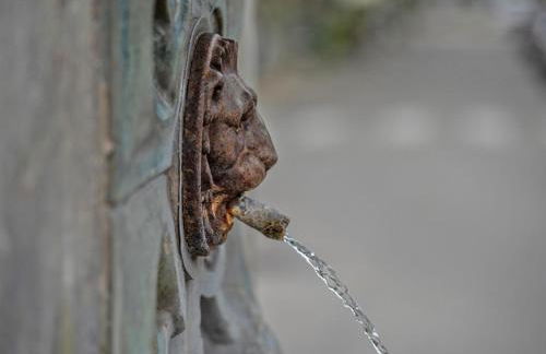 La Sarrazine - Foto 42