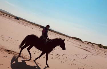 Stewards Bothy - Foto 75