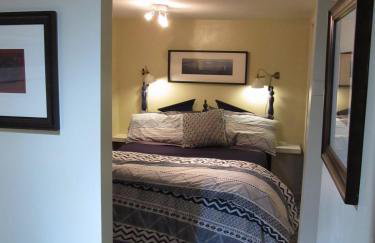 Cozy Vintage Chicago Apartment near Downtown - Foto 18