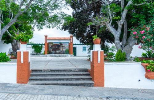 Live Arico Lagar - Foto 41