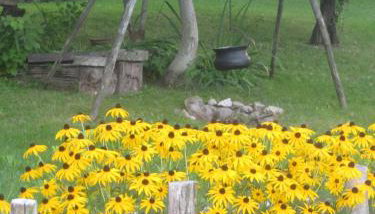 Cottage on Hill - Photo 4, Garden view