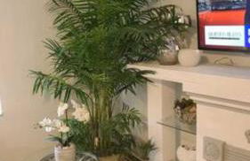 Palm Springs 3-Bedroom 2-Bath 5 Miles to the Beach - Foto 23