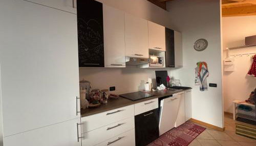 Aidi e Tilde Mountain View Apartment, Fiordalpe Valdidentro - Foto 4, stove