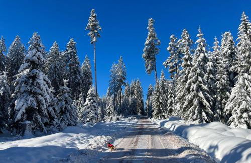 Ferienhaus Robin - Foto 65