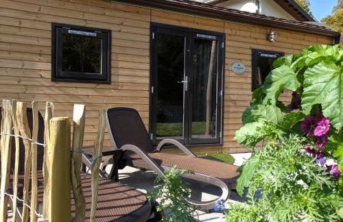 Rhön Lodge - Foto 19