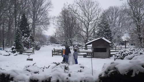 Apartment Flughafen Leipzig - Foto 3