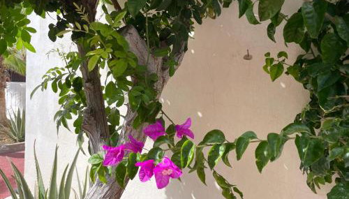 Parque Holandés Fuerteventura casa Mayte - Foto 4