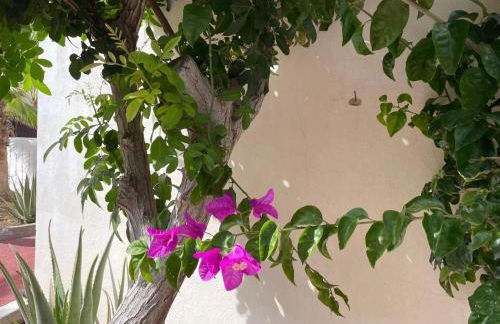 Parque Holandés Fuerteventura casa Mayte - Foto 4