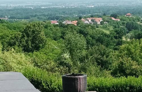 Villa Wolf Castle - vanjski grijani bazen 365 dana i pet friendly - Foto 8