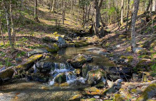 Valkyrie Run - Photo 8