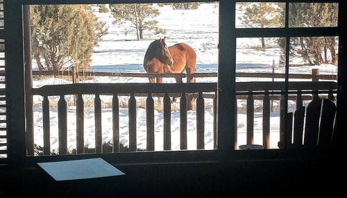 Cabin with Wild Horses, Fireplace, Dog Friendly & StarLink - Foto 2