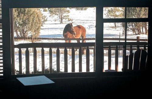 Cabin with Wild Horses, Fireplace, Dog Friendly & StarLink - Foto 1