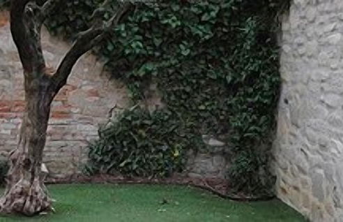 Room & Relax - Modus Vivendi - Photo 39