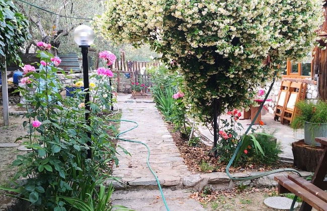 Zeytindagi Bungalow - Foto 52