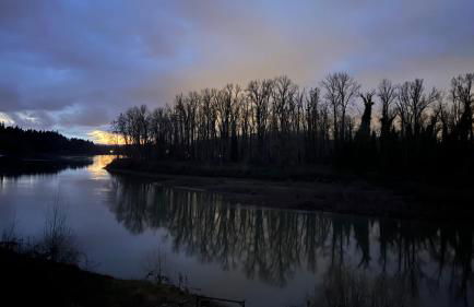 Blue Heron Sanctuary & Serene, river-front cottage - Foto 31