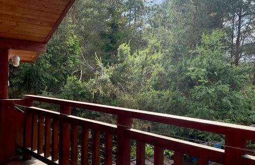 Przytulisko - Dom na Mazurach - Foto 16